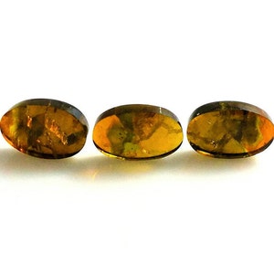 Watermelon Tourmaline Slice: AAA++ Quality Loose Gemstones, 2.70 Carat (2 Pieces)