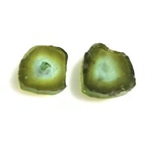 AAA++ Watermelon Tourmaline Slice: Loose Gemstone Pair