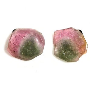 AAA++ Watermelon Tourmaline Slice: Loose Gemstone Pair