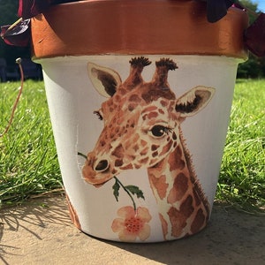 May include: A terracotta flower pot with a painted giraffe design. The pot is decorated with a brown giraffe head and neck, and a pink flower. The pot is filled with a dark red plant with white flowers.