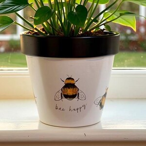 May include: A houseplant in a white ceramic pot with a black rim, decorated with a bee design and the words "bee happy". The plant has large, green leaves and sits on a windowsill. The background shows a window.