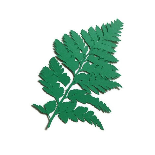 6 Pieces Fern Leaf Die Cuts Cardstock Scrapbooks Greeting Card Toppers Journals Embellishments