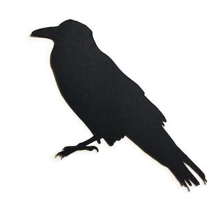 6 Pieces Raven Birds Die Cuts Cardstock Scrapbooks Greeting Card Toppers Journals Embellishments