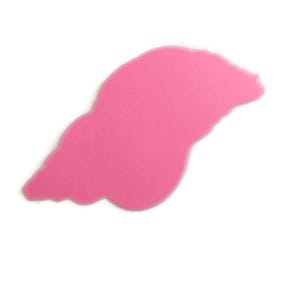 Sea Shell Water Life Die Cuts - Cardstock Scrapbooking Embellishments (6 Pieces)