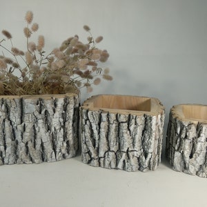 May include: Three wooden planters made from tree bark, with a natural wood finish. The planters are different sizes and are arranged in a row from largest to smallest.
