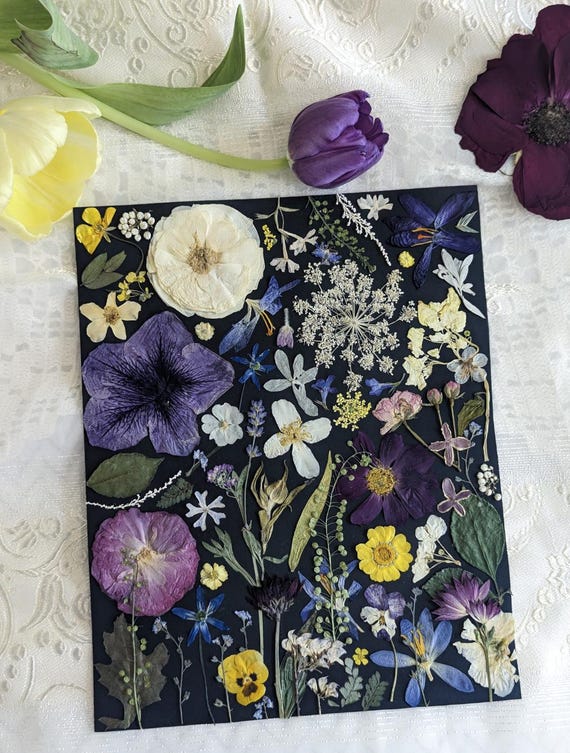 8x10 本物の押し花アート、ヴィンテージ フローラル アート、押し花
