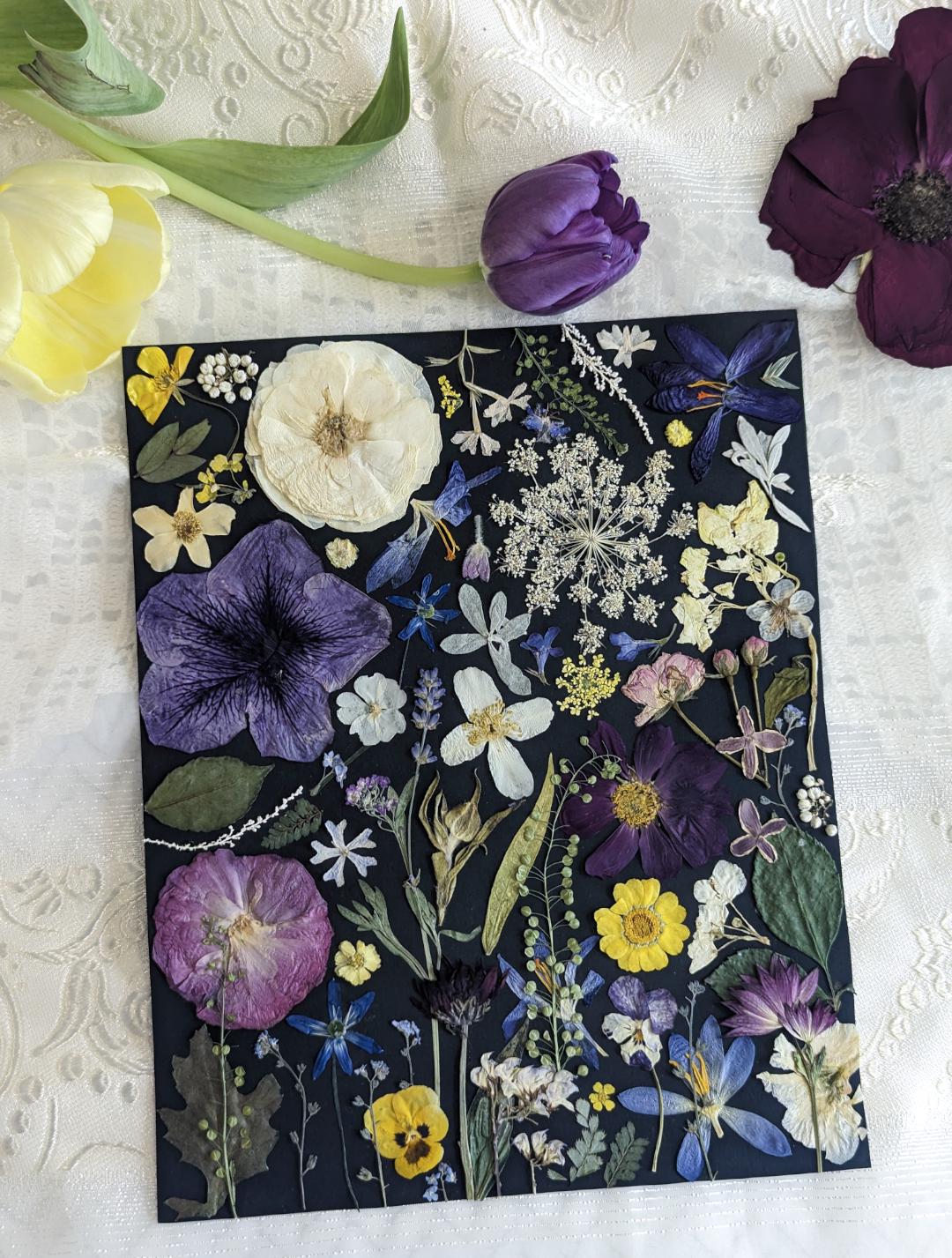 8x10 本物の押し花アート、ヴィンテージ フローラル アート、押し花