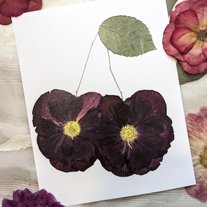 Könnte beinhalten: Ein gepresster Blumenkunst-Druck mit zwei dunkelvioletten Rosenblüten mit gelben Zentren, die so angeordnet sind, dass sie einem Paar Kirschen mit einem grünen Blattstiel ähneln.