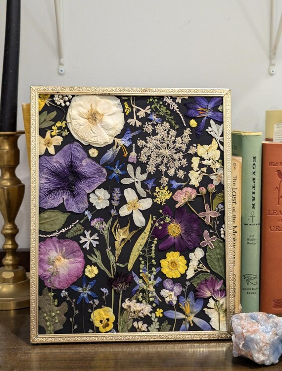 8x10 本物の押し花アート、ヴィンテージ フローラル アート、押し花