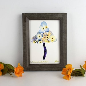 Real pressed flower print, 5x7 handmade floral art print, fungi print, mushroom print, herbarium, pressed flower artwork, mushroom art