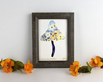 May include: A framed pressed flower art piece with a purple stem and blue and yellow flowers arranged in a tree shape. The text "Entoloma hochstetteri" is written below the artwork.