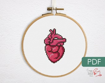 Anatomy cross stitch pattern PDF. Simple human anatomical heart crossstitch chart. Small science xstitch. Medical cross-stitch. P0062