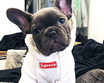 supreme lv dog hoodie amazon