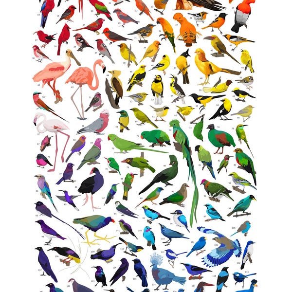 Rainbow Birds Print