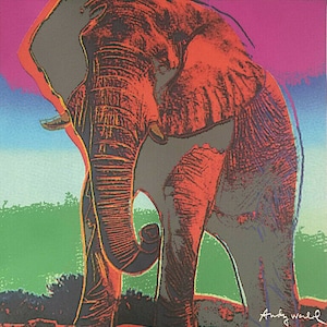 ANDY WARHOL - 'African Elephant' - litografia vintage numerata a mano - c1986 (Edizione limitata. Timbro a inchiostro del Carnegie Museum)