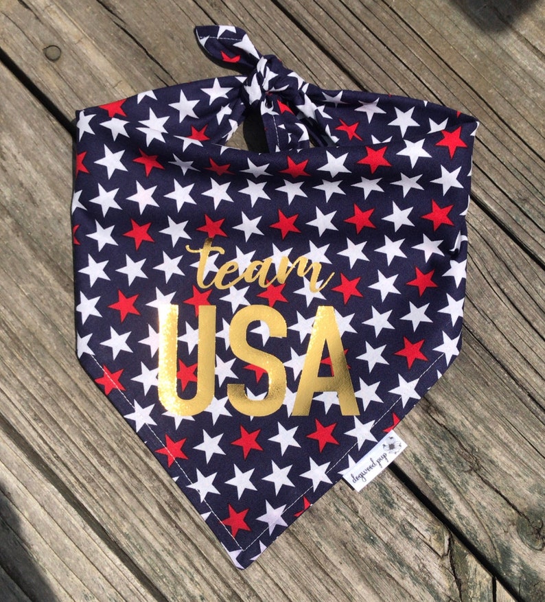 The Dogwood Pup USA Patriotic Bandana image 3