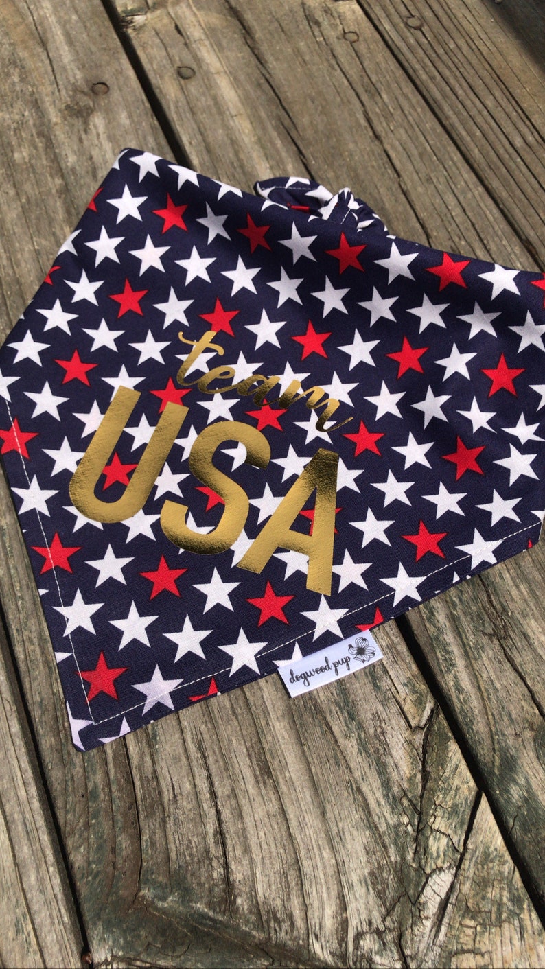 The Dogwood Pup USA Patriotic Bandana image 4