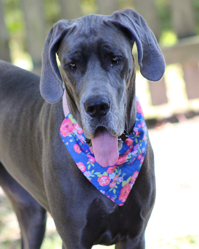 Dog Bandana Willa Grey Multi