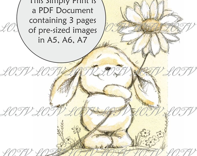 Lili of the Valley Full Colour Simply Print - GC - Rabbit with Daisy, Birthday, Cute, 3 Page PDF Ready to Print Document, Digital