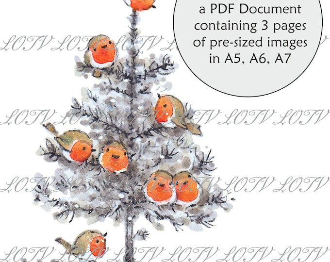 Lili of the Valley Full Colour Simply Print - IH - Snowy Robins, Christmas, Robins, 3 Page PDF Ready to Print Document, Digital