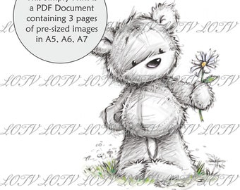 LOTV Full Colour Simply Print- CG - James the Bear Daisy - 3 Page PDF Ready to Print Document, Digital