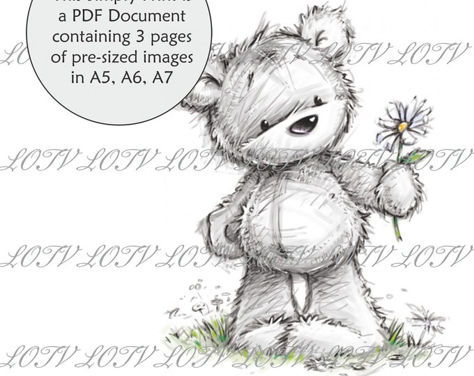Lili of the Valley Full Colour Simply Print- CG - James the Bear Daisy - 3 Page PDF Ready to Print Document, Digital