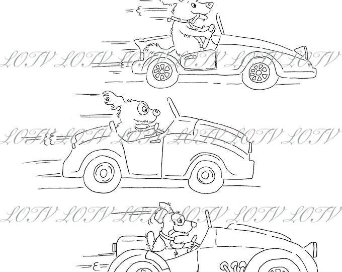 Lotv Digi Stamp - KG -  Driving Dogs, 9 Digi Stamps, Jpg Set, Digital