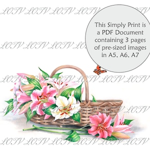 LOTV full colour eenvoudig afdrukken - lelies, bloemen, Engelse tuin, pdf van 3 pagina's, klaar om af te drukken, digitaal