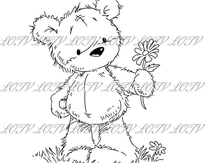 LOTV Digi Stamp - CG - James Daisy, JPEG, Cute, Bear, Birthday, Sweet, Animal, Digital