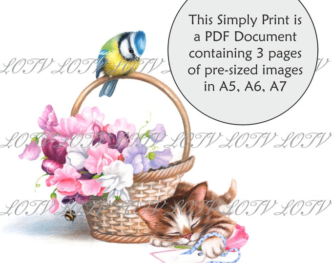 Lili of the Valley Full Colour Simply Print - Bluetits and Kitten  Floral, Spring, 3 Page PDF Ready to Print Document, Digital