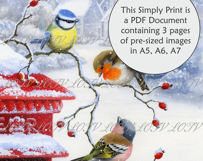 Lili of the Valley Full Colour Simply Print - Winter Birds, 3 Page Ready to Print PDF Document, Digital