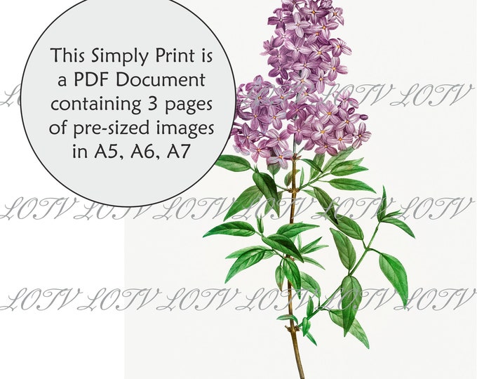 LOTV Full Colour Simply Print - Vintage Botanical Lilac - 3 Page PDF
