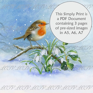 LOTV Einfach Vollfarbe Druck - Rotkehlchen und Schneeglöckchen, 3-seitig Bereit zum Drucken von PDF-Dokument, Digital