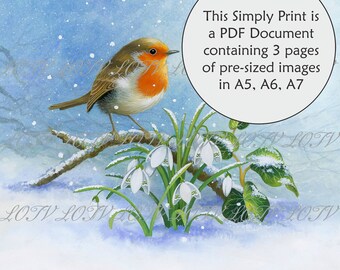 Lili of the Valley Full Colour Simply Print - Robin and Snowdrops, 3 Page Ready to Print PDF Document, Digital