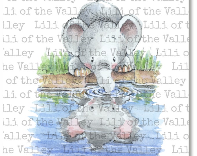 Digital Simply Print - IH - Elephant Reflection, PDF