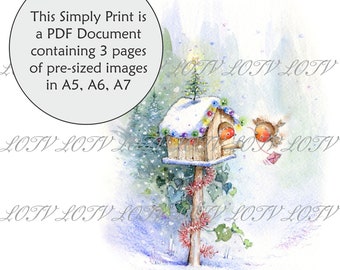 Lili of the Valley Full Colour Simply Print - IH Robin Birdbox, 3 Page PDF Ready to Print Document, Digital