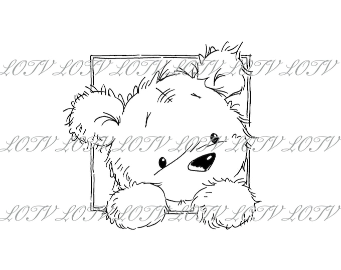 LOTV Digi Stamp- CG - James Peeping, JPEG, Cute, Bear, Birthday, Sweet, Animal, Digital