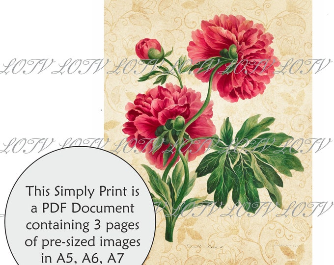 LOTV Full Colour Simply Print - Vintage Botanical Peony - 3 Page PDF