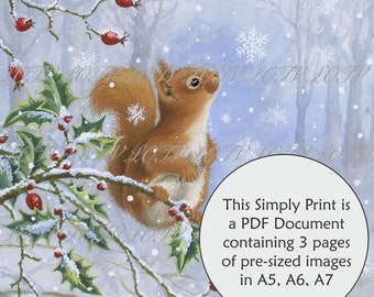 LOTV Full Colour Simply Print - Snowy Squirrel, Digital