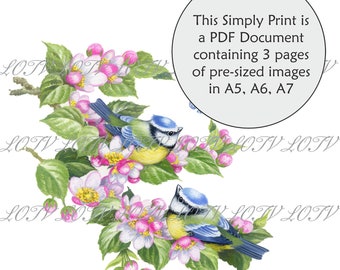 Lili of the Valley Full Colour Simply Print - Bluetits on Cherry Blossom, Floral, Spring, 3 Page PDF Ready to Print Document, Digital