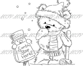 Lili of the Valley Digi Stamp - CG - James Santa Stop Here, JPEG, Christmas, Xmas, Noel, Festive, Snow, Digital