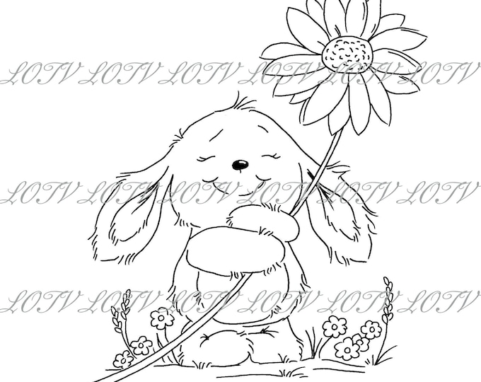 Lotv Digi Stamp - GC - Little Friends Rabbit with Daisy,  Jpg, Birthday, Flowers, Digital, Artwork