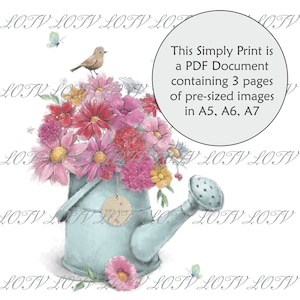 LOTV Full Color Simply Print - CG - Regador florido - PDF de 3 páginas pronto para imprimir documento, menina, digital