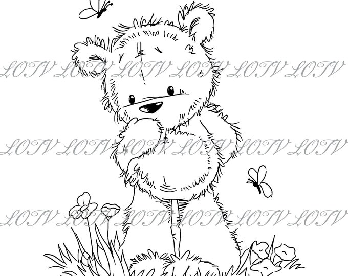 LOTV Digi Stamp - CG - James Butterflies, JPEG, Cute, Bear, Birthday, Sweet, Animal, Digital