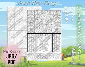 VINTAGE BIRDS and Borders - Adult Coloring Page - Intricate Details - Vintage Décor - Water Birds