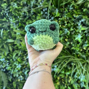 Frank the no sew frog crochet Pattern