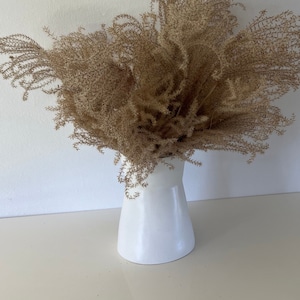 May include: A white ceramic vase with a flared top holds a large arrangement of dried, feathery, tan-colored grasses. The vase sits on a light-colored surface against a plain white wall, creating a minimalist aesthetic. The arrangement adds a natural, textured element.