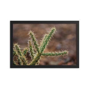 Framed Poster - Cholla