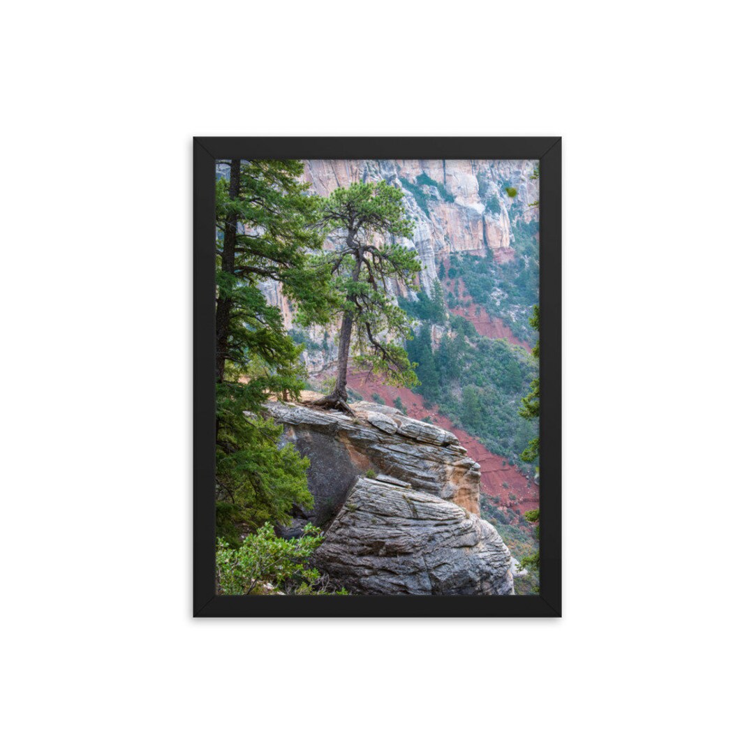 Framed Poster - Grand Canyon North Rim - Etsy
