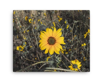 Canvas - Yellow "Daisy"